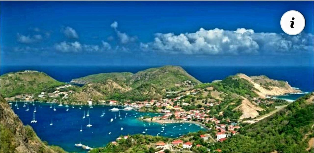 Studio 1 - Grande Anse - 4 Pers - Proche Bourg Terre-De-Haut ภายนอก รูปภาพ