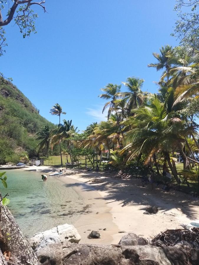 Studio 1 - Grande Anse - 4 Pers - Proche Bourg Terre-De-Haut ภายนอก รูปภาพ